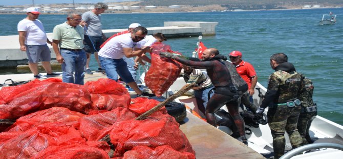 Aliağa’da Festival Gibi Deniz Şenliği