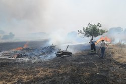 Aliağa'da Yangın Korkuttu 