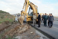 Aliağada Yol Ağaçlandırması