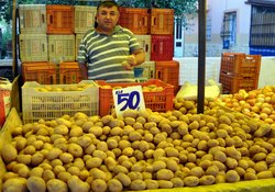 Patatesin Yüzüne Bakan YOK