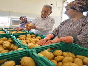 Başkan Kocaoğlu’ndan Patates Üreticisine Destek