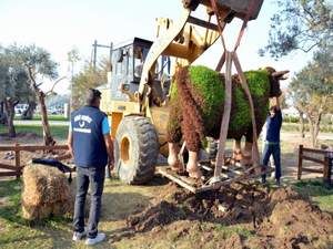 ‘Aliağa’nın Çiftliği’ne Kış Bakımı